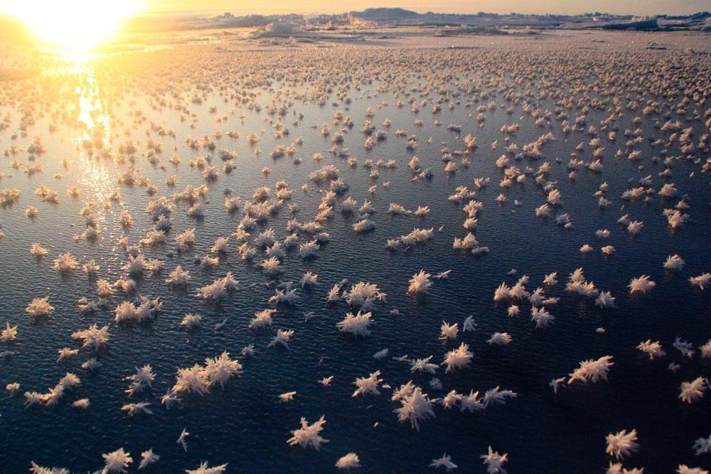 25 fenomeni naturali davvero incredibili! articolo