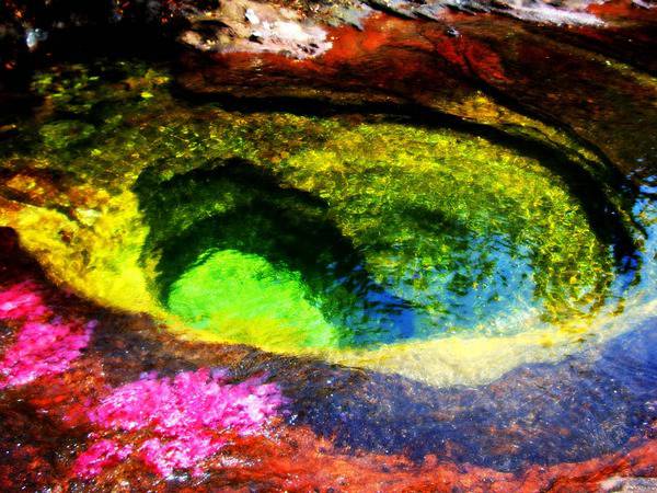 25 fenomeni naturali davvero incredibili! articolo