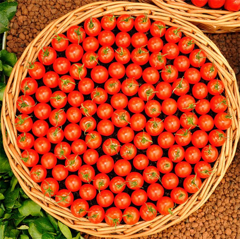 15 immagini che faranno piacere ai puri perfezionisti articolo