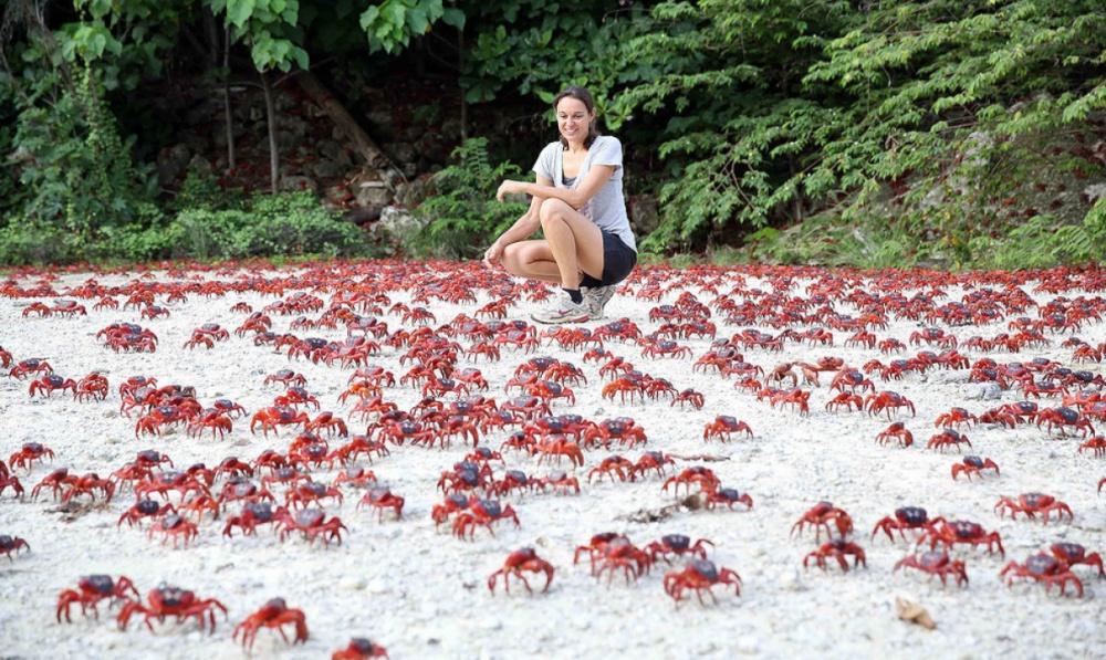 25 fenomeni naturali davvero incredibili! articolo
