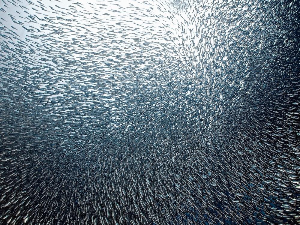 25 fenomeni naturali davvero incredibili! articolo