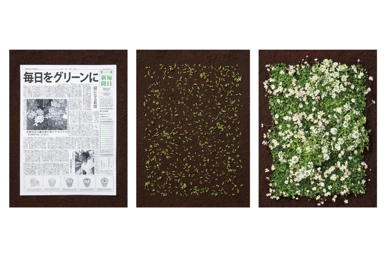 Dal Giappone arriva il giornale che si pianta come un albero articolo