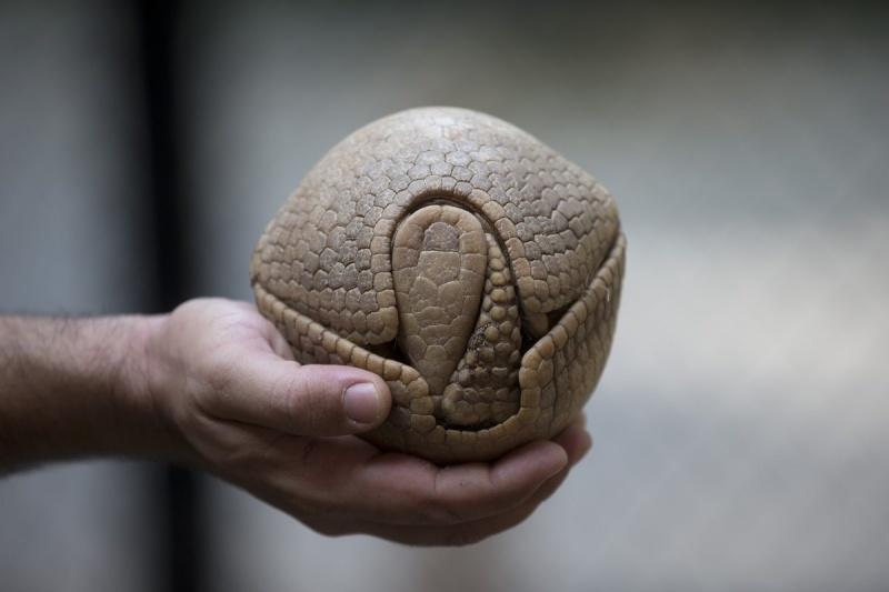 20 immagini impressionanti che non avete MAI visto! articolo