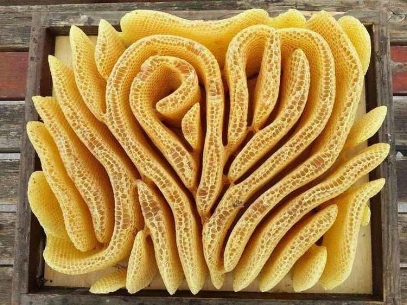 20 immagini impressionanti che non avete MAI visto! articolo