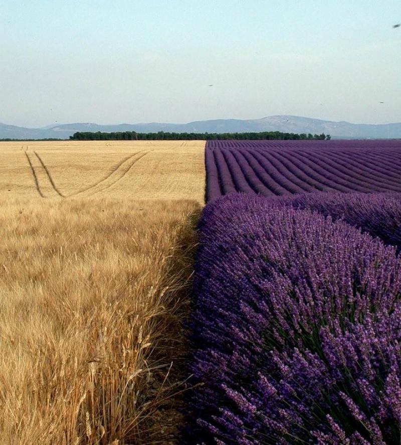 20 immagini impressionanti che non avete MAI visto! articolo