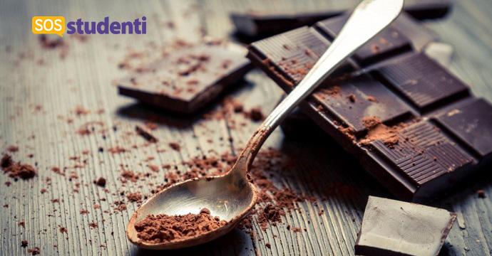 L'Università di Pisa offre un posto da mangiatore di cioccolata: ecco le info! articolo