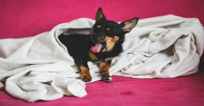 Come creare una morning routine di successo articolo