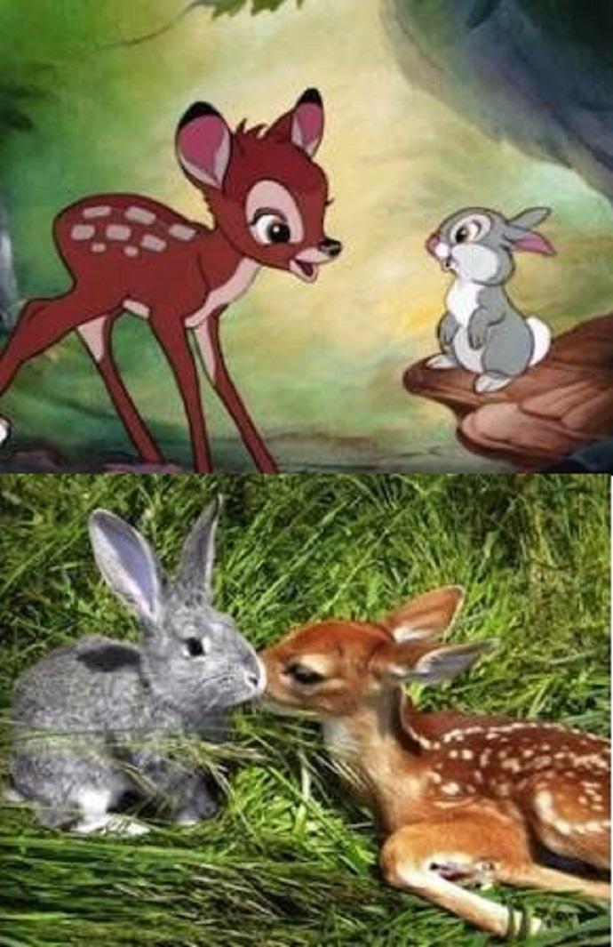 11 immagini inquietanti che dimostrano che i personaggi Disney esistono davvero articolo