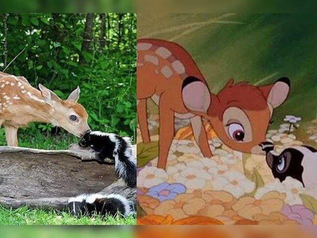 11 immagini inquietanti che dimostrano che i personaggi Disney esistono davvero articolo