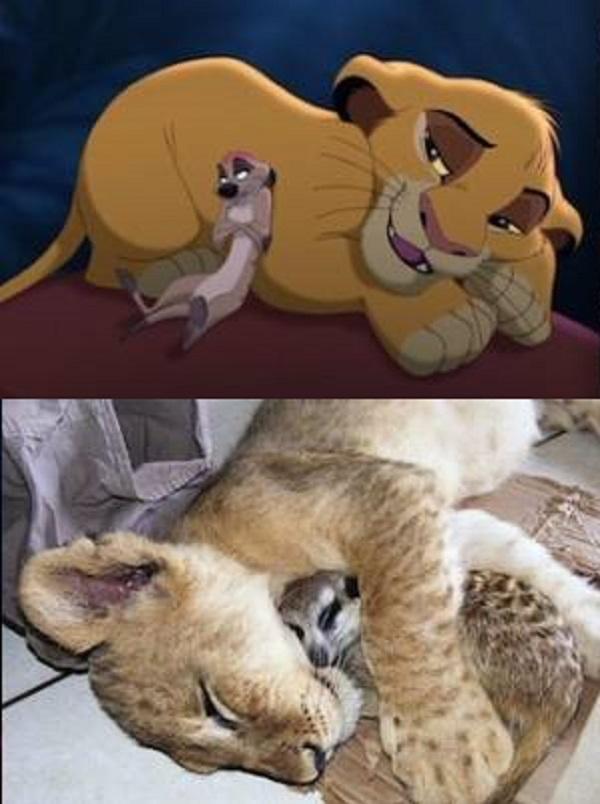 11 immagini inquietanti che dimostrano che i personaggi Disney esistono davvero articolo