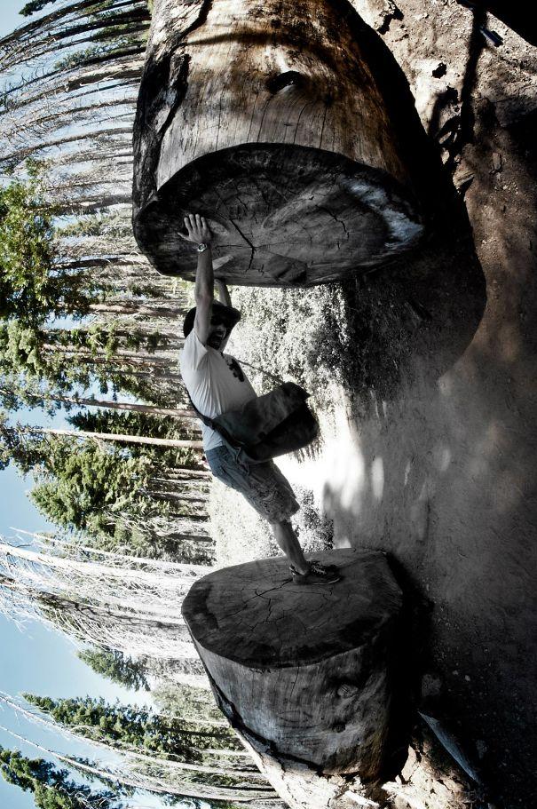 20 foto incredibili che dimostrano come la prospettiva sia importante! articolo