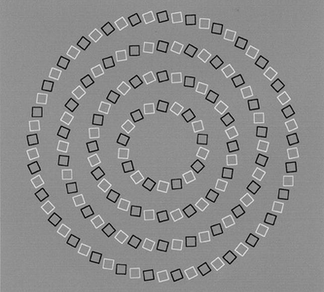 12 illusioni ottiche che vi faranno girare la testa! articolo