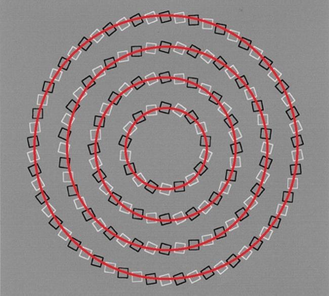 12 illusioni ottiche che vi faranno girare la testa! articolo