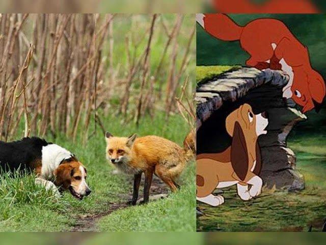 11 immagini inquietanti che dimostrano che i personaggi Disney esistono davvero articolo