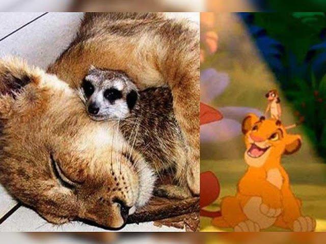 11 immagini inquietanti che dimostrano che i personaggi Disney esistono davvero articolo