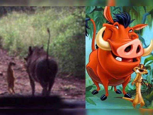 11 immagini inquietanti che dimostrano che i personaggi Disney esistono davvero articolo