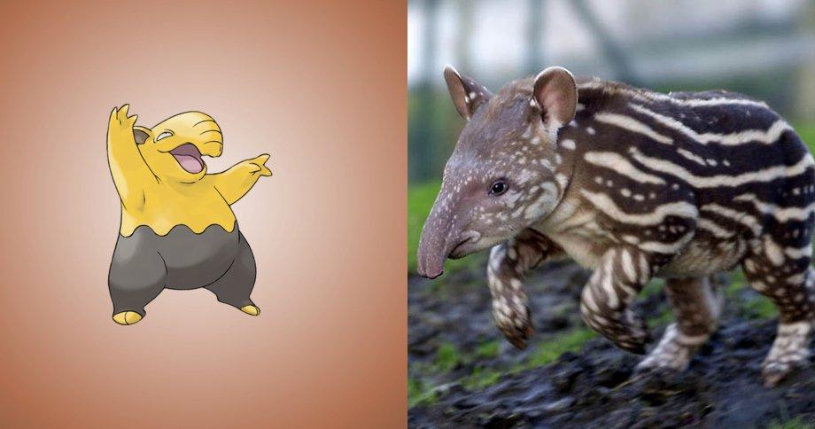 15 Pokemon che esistono davvero nella vita reale! articolo