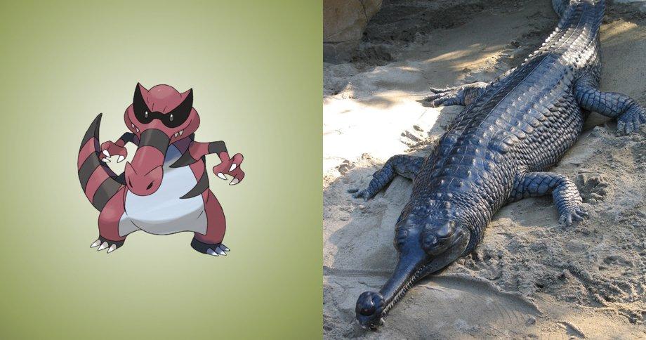 15 Pokemon che esistono davvero nella vita reale! articolo