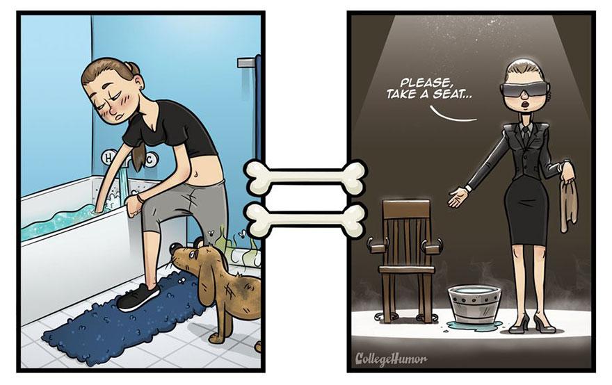 Come i cani vedono il mondo in 7 illustrazioni divertenti articolo