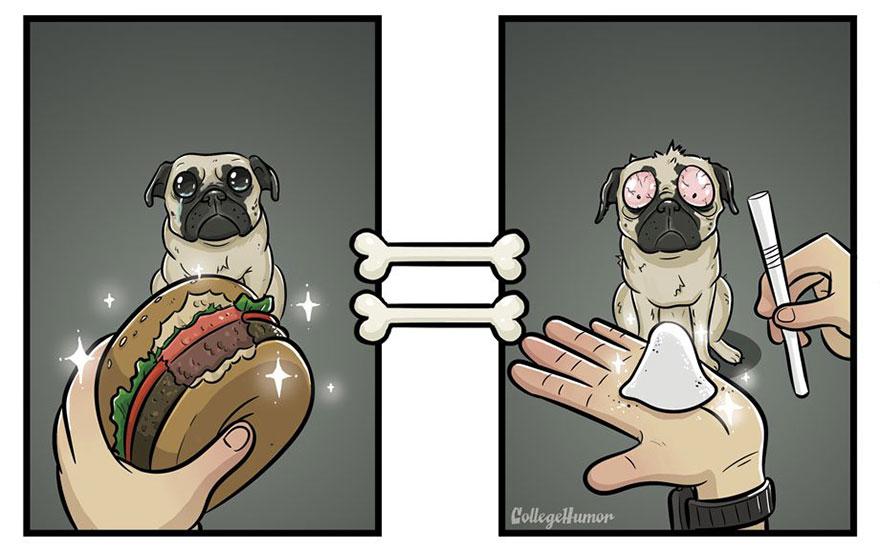 Come i cani vedono il mondo in 7 illustrazioni divertenti articolo