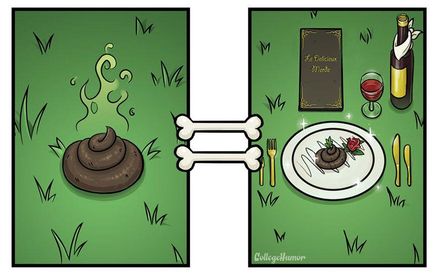 Come i cani vedono il mondo in 7 illustrazioni divertenti articolo