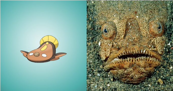 15 Pokemon che esistono davvero nella vita reale! articolo
