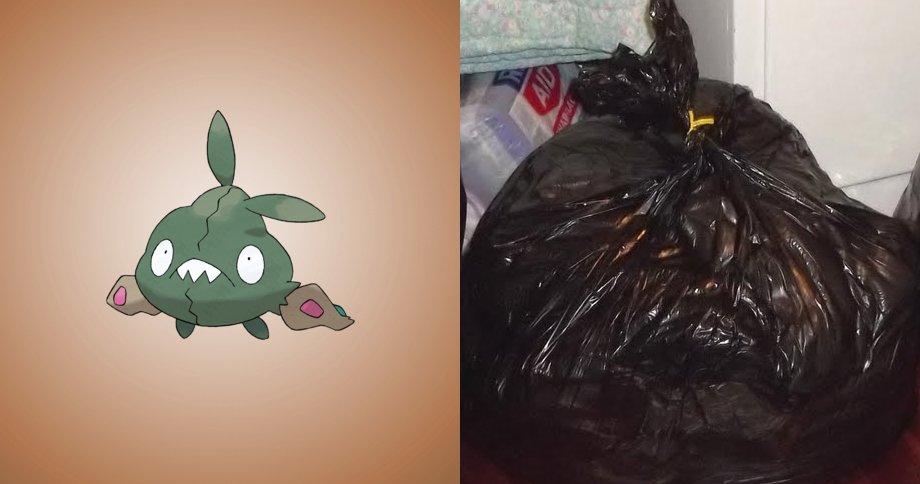 15 Pokemon che esistono davvero nella vita reale! articolo