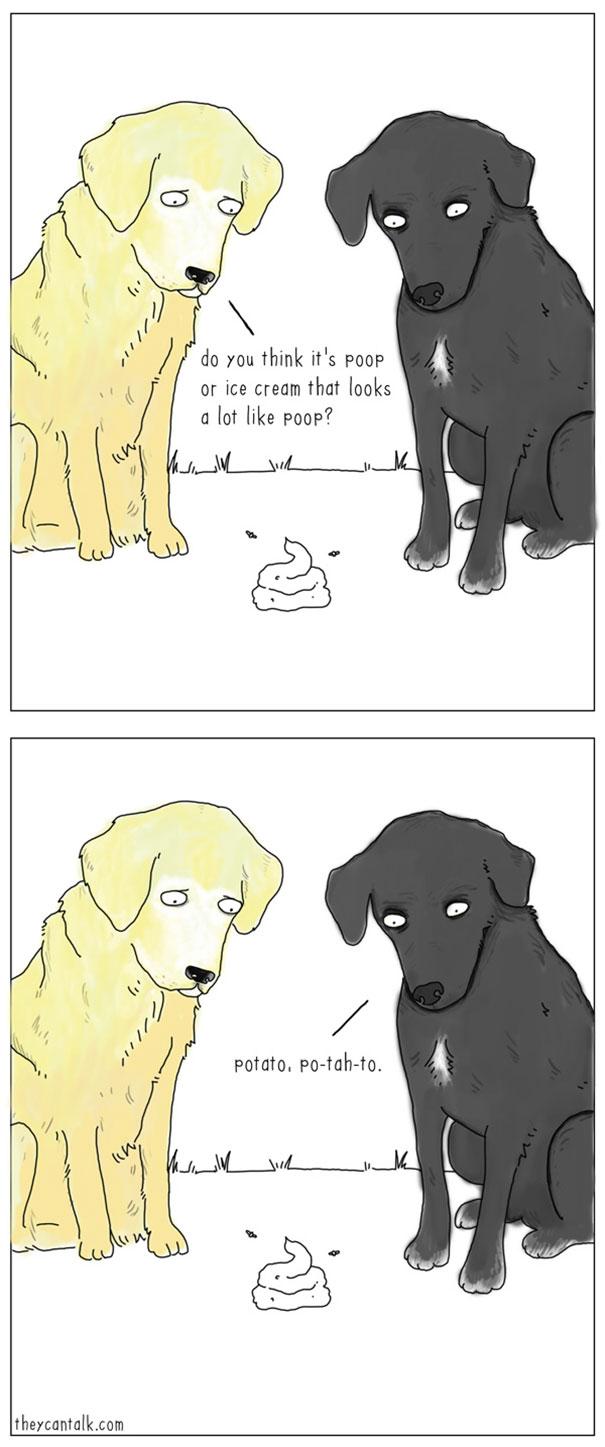 Se gli animali potessero parlare articolo