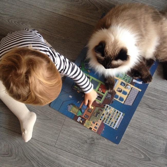 20 foto che provano come i bambini abbiano bisogno di un gatto! articolo
