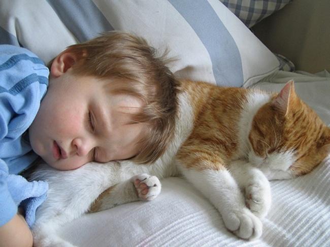 20 foto che provano come i bambini abbiano bisogno di un gatto! articolo