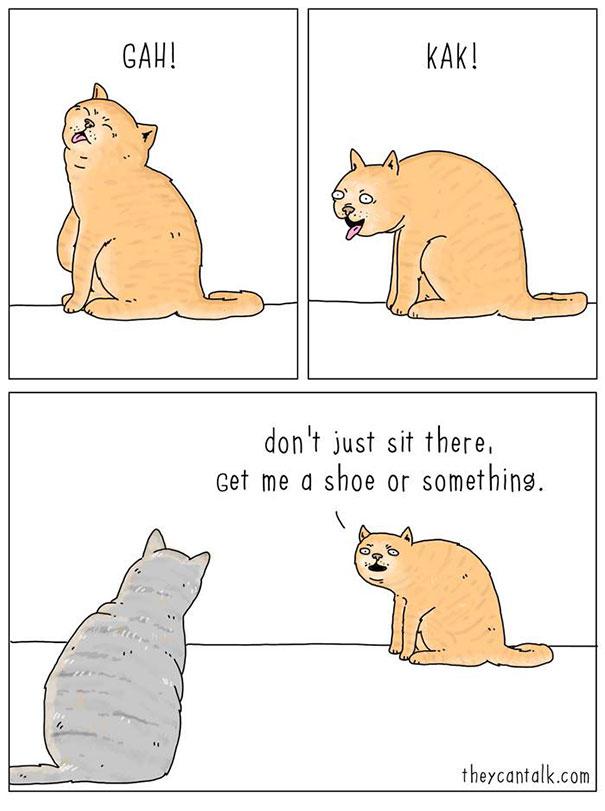 Se gli animali potessero parlare articolo
