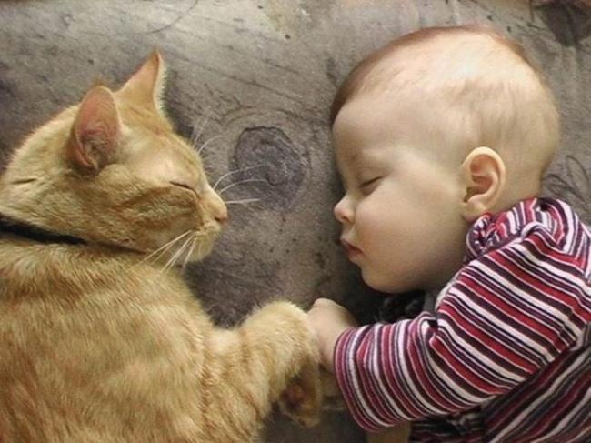20 foto che provano come i bambini abbiano bisogno di un gatto! articolo
