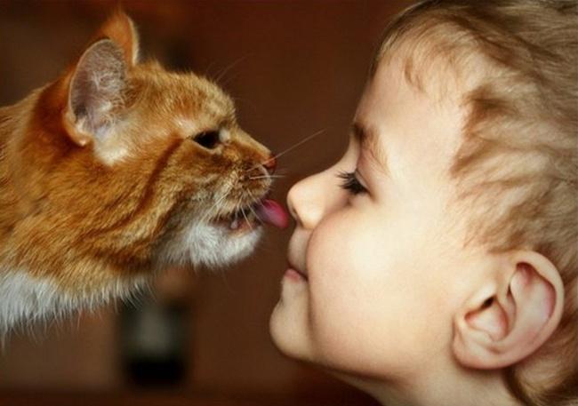 20 foto che provano come i bambini abbiano bisogno di un gatto! articolo