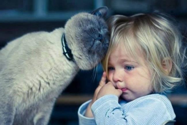 20 foto che provano come i bambini abbiano bisogno di un gatto! articolo