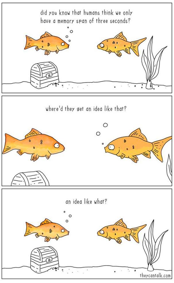 Se gli animali potessero parlare articolo