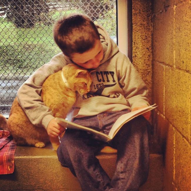 20 foto che provano come i bambini abbiano bisogno di un gatto! articolo