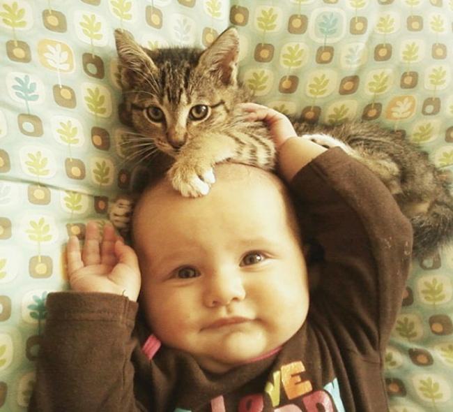 20 foto che provano come i bambini abbiano bisogno di un gatto! articolo