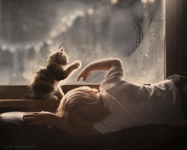 20 foto che provano come i bambini abbiano bisogno di un gatto! articolo