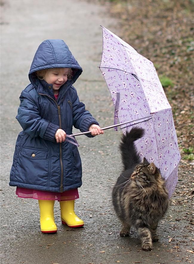 20 foto che provano come i bambini abbiano bisogno di un gatto! articolo