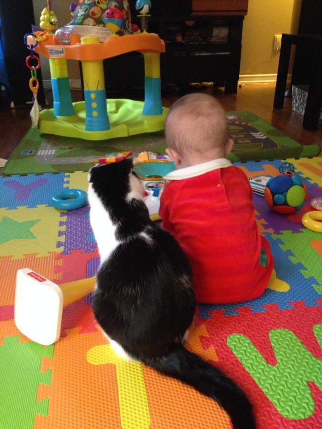 20 foto che provano come i bambini abbiano bisogno di un gatto! articolo