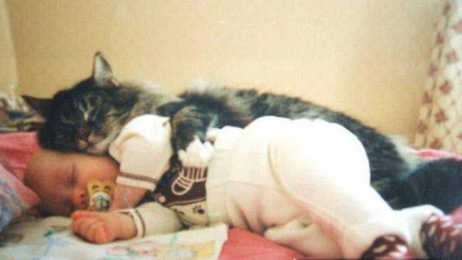 20 foto che provano come i bambini abbiano bisogno di un gatto! articolo