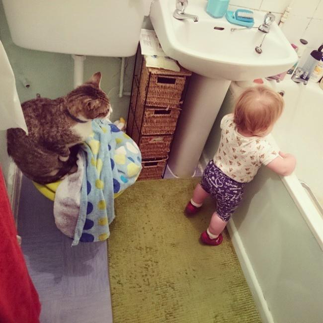 20 foto che provano come i bambini abbiano bisogno di un gatto! articolo