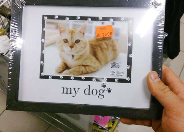25 Epic Fails clamorosi che abbiamo trovato nei supermercati articolo