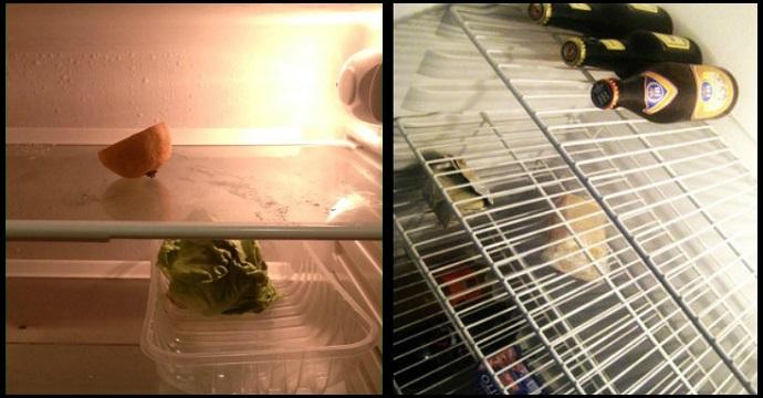 La dieta dell’esame articolo