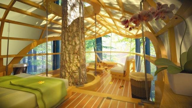 Le ispirazioni migliori che l'uomo ha avuto per rispettare la Natura, in 15 immagini articolo