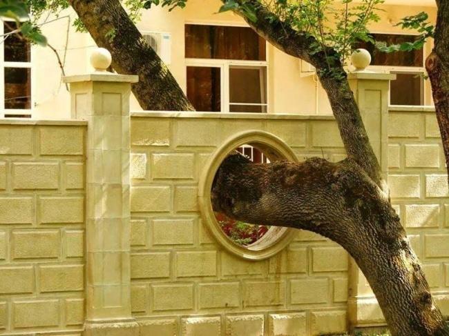 Le ispirazioni migliori che l'uomo ha avuto per rispettare la Natura, in 15 immagini articolo