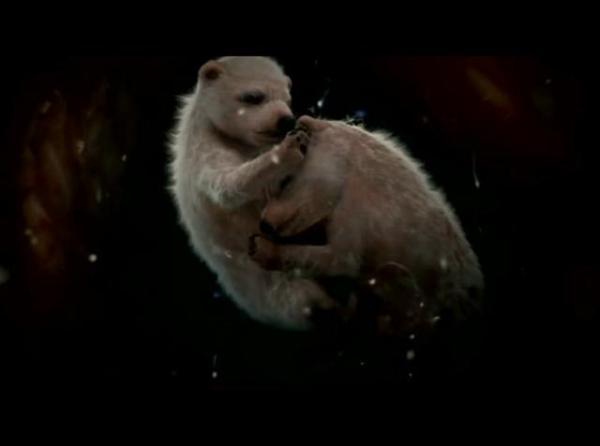15 affascinanti immagini di animali nel grembo articolo