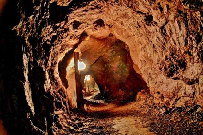 6 scuole incredibili che (forse) vorrai frequentare articolo