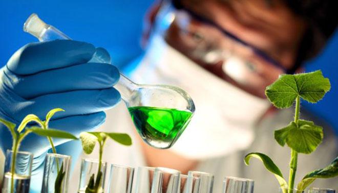 foto di studente istituto tecnico, indirizzo chimica, materiali, biotecnologie, articolazione biotecnologie ambientali