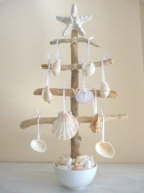 foto albero di conchiglie